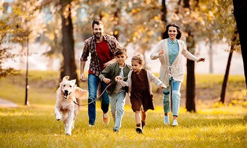 young family playing in the park with their fluffy dog